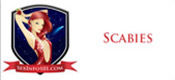 scabies