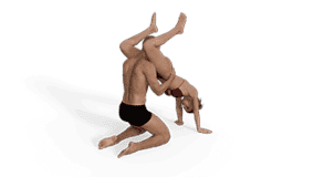 Aerial Butler Sex Position