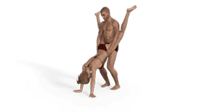 Wheelbarrow Sex Position