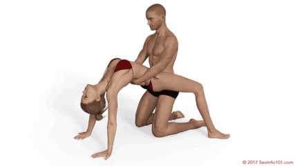 Bridged Guard Sex Position