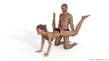 Kneeling Wheelbarrow Sex Position